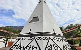 Fungi Tipis