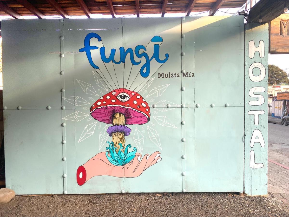Fungi Tipis Hotel Tepoztlán Exterior photo